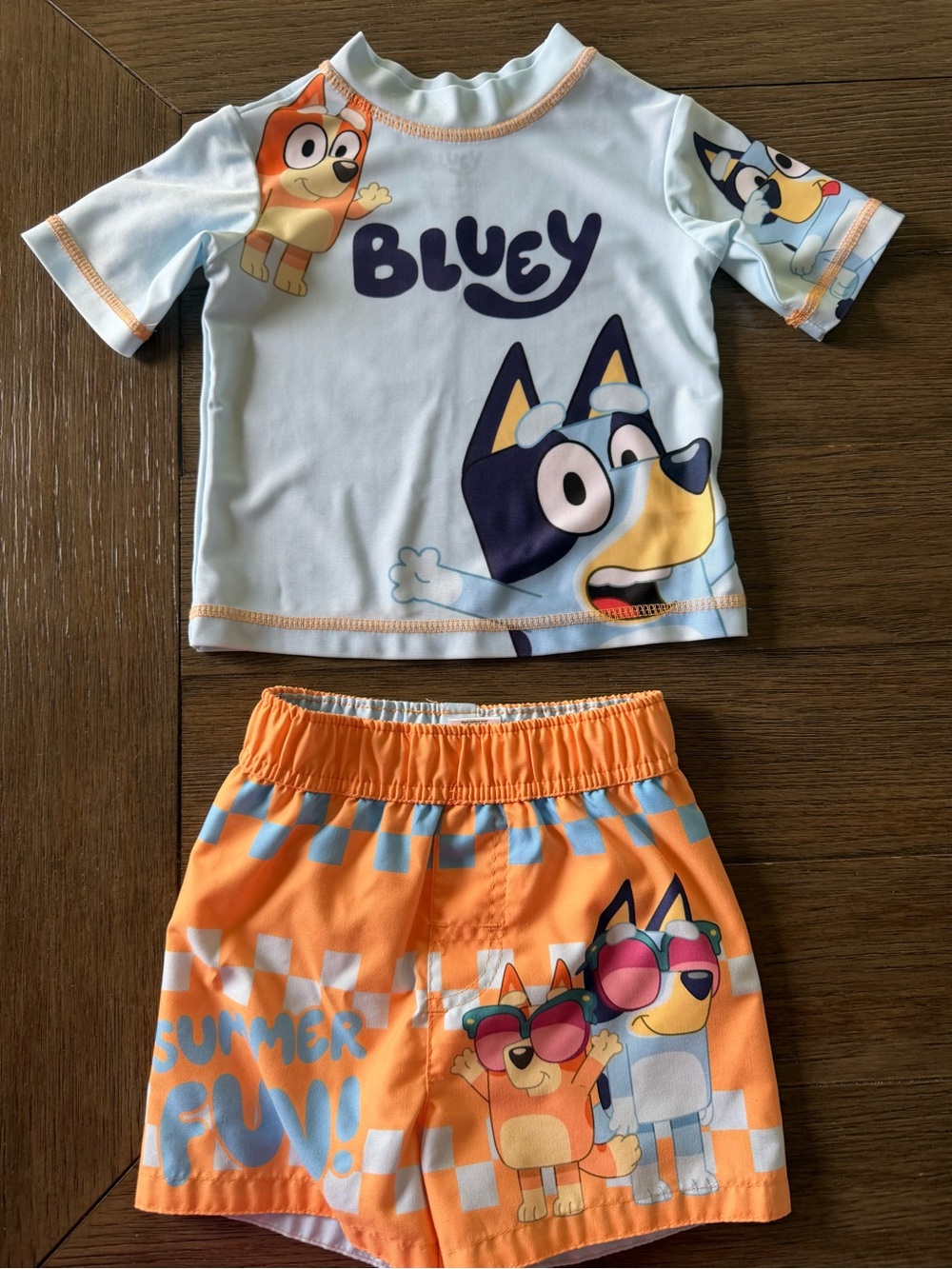 Bluey Bingo Baby 12M 2 Piece Rash Guard Swim Set